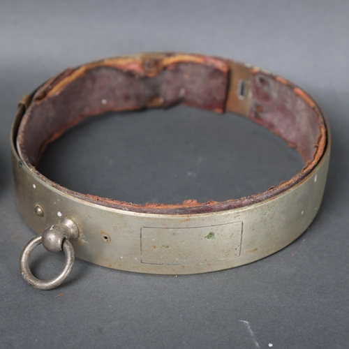 3075 - Curiosity/Macabre : Two Victorian chrome plated dog collars, smaller collar named to 'Watkins, 4 Hol... 