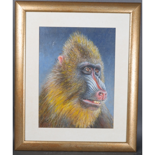 3078 - Natural History : “Mandrill” Original oil on canvas board by Mike Franklin, 2012.
Born 1946, Frankli... 