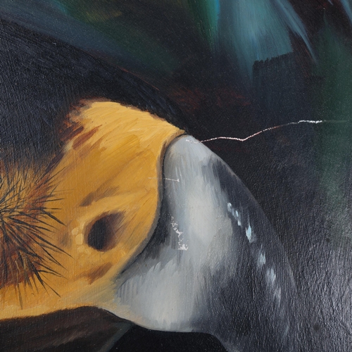 3081 - Art: Verreaux's Black Eagle painting by Lesley Ireland 
Original oil on board painting by Lesley Ire... 