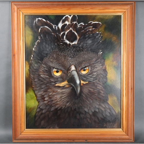 3082 - Art: African Crowned Eagle painting by Lesley Ireland 
Original oil on board painting by Lesley Irel... 