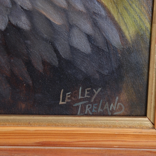 3082 - Art: African Crowned Eagle painting by Lesley Ireland 
Original oil on board painting by Lesley Irel... 