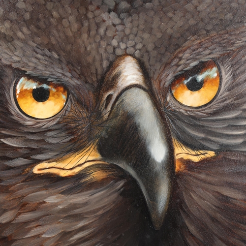 3082 - Art: African Crowned Eagle painting by Lesley Ireland 
Original oil on board painting by Lesley Irel... 