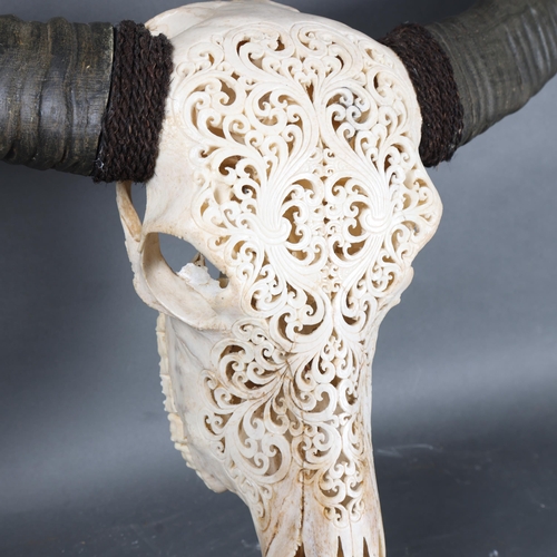 3097 - Taxidermy: Carved Water Buffalo Skull.
A large and impressive water buffalo cranium and horns. The s... 