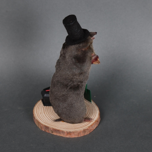 3122 - Taxidermy: “The Grave Digger” Mole.
An anthropomorphic full mount taxidermy mole, mounted upright on... 