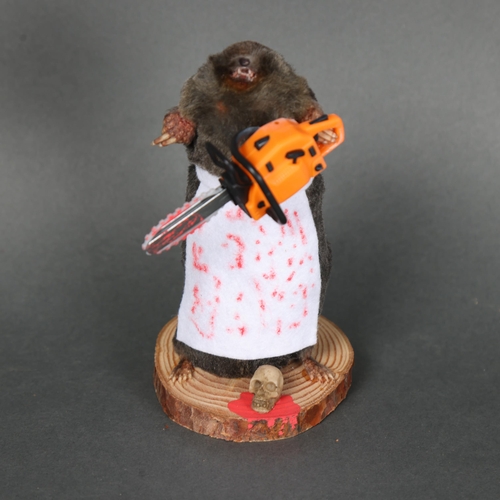 3123 - Taxidermy: “Chainsaw Massacre” Mole.
An anthropomorphic full mount taxidermy mole, mounted upright o... 