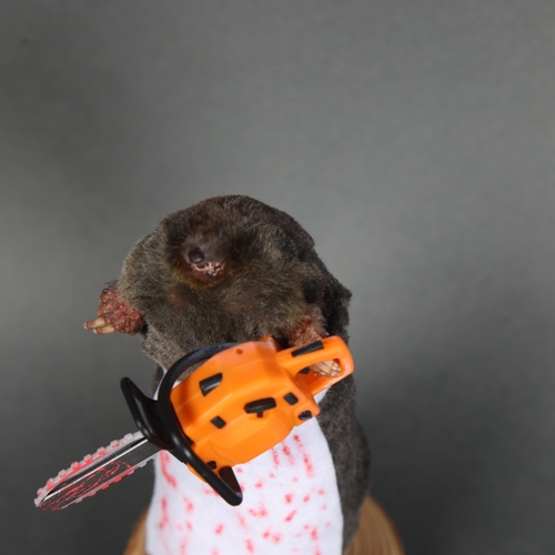 3123 - Taxidermy: “Chainsaw Massacre” Mole.
An anthropomorphic full mount taxidermy mole, mounted upright o... 