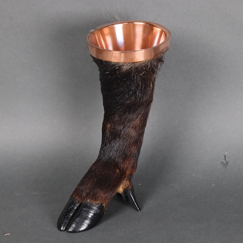 3124 - Taxidermy: Wild Boar Leg with copper dish top. An interesting piece of zoomorphic taxidermy. Possibl... 