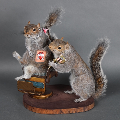 3127 - Taxidermy: Pair of Tattooing Squirrels. The tattooist squirrel holding a miniature tattoo gun in one... 