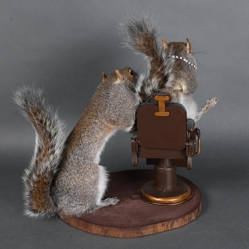 3127 - Taxidermy: Pair of Tattooing Squirrels. The tattooist squirrel holding a miniature tattoo gun in one... 