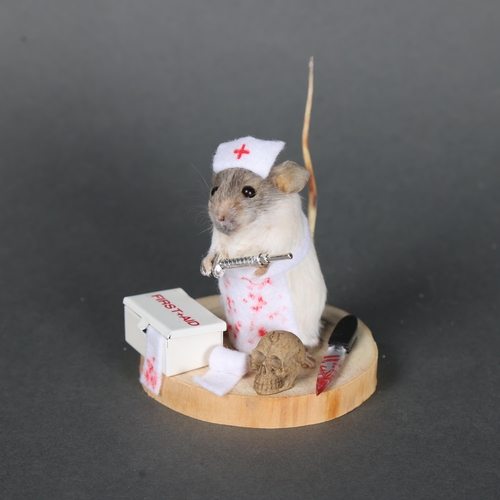 3142 - Taxidermy: “Nurse” Mouse.
An anthropomorphic full mount taxidermy grey and white mouse, mounted upri... 