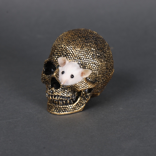 3143 - Taxidermy: Mouse head in gold skull.
A taxidermy white mouse head peeping out of the eye socket of a... 