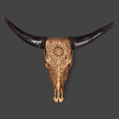 3166 - Taxidermy: Carved Water Buffalo Skull painted gold.
An impressive water buffalo cranium and horns. T... 