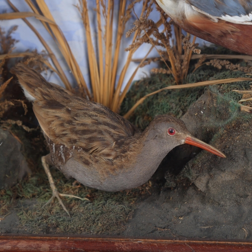 3178 - Taxidermy : An Antique diorama, including a Eurasian Widgeon facing a Common Shelduck, with Water Ra... 