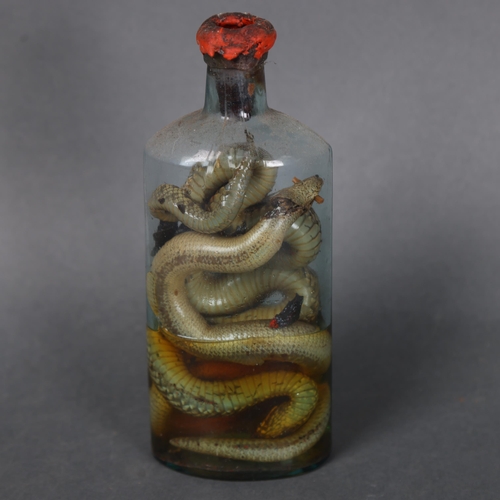 3201 - Taxidermy : A Victorian wet specimen study of a group of snakes, housed glass bottle with red wax se... 