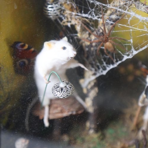 3210 - Taxidermy : A modern mixed media diorama depicting the historic conflict between Mice and Spider. Wa... 