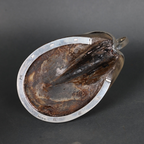 3222 - Taxidermy: “Sportsman” Horse Hoof mounted in solid silver as a chamberstick, by George Ernest Hawkin... 