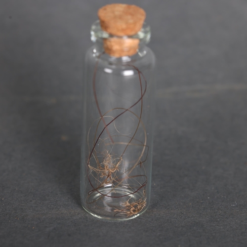 3228 - Curiosity: Jar of Extinct Woolly Mammoth Hair. Hair obtained from a Mammuthus primegenus specimen th... 