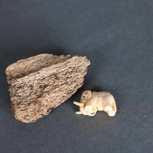 3229 - Netsuke: Mammoth carved from Mammoth tusk ivory with mammoth bone display base. Superb miniature car... 