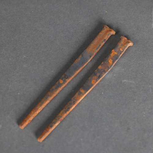 3232 - Curiosity/Macabre : Pair of coffin nails. Coffin nails are a type of nail flat forged on an anvil wi... 