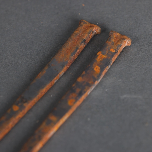 3232 - Curiosity/Macabre : Pair of coffin nails. Coffin nails are a type of nail flat forged on an anvil wi... 