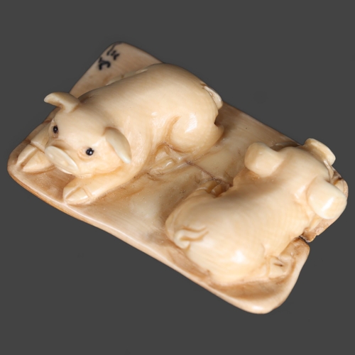 3294 - Netsuke: pair of Pigs, carved from Mammoth tusk ivory. 
Exquisitely carved from this ~15,000 year ol... 