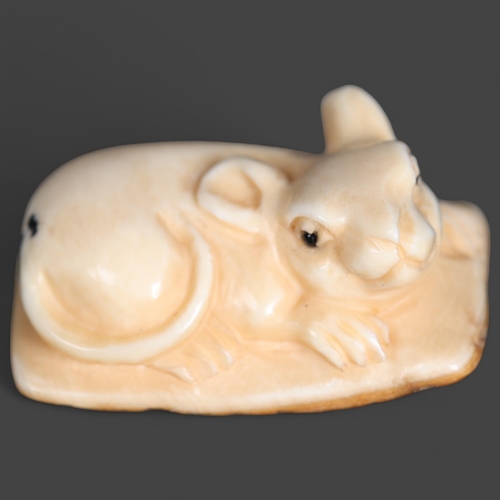 3298 - Netsuke: Rat / Mouse, carved from Mammoth tusk ivory
Exquisitely carved from this ~15,000 year old m... 