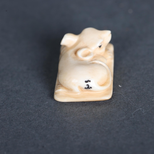 3298 - Netsuke: Rat / Mouse, carved from Mammoth tusk ivory
Exquisitely carved from this ~15,000 year old m... 