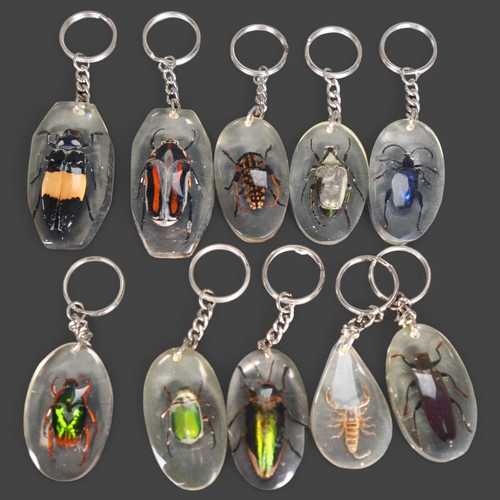 3316 - Taxidermy: Collection of Genuine Insect Set in Resin Keyrings. Each specimen carefully set and mount... 