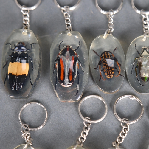 3316 - Taxidermy: Collection of Genuine Insect Set in Resin Keyrings. Each specimen carefully set and mount... 