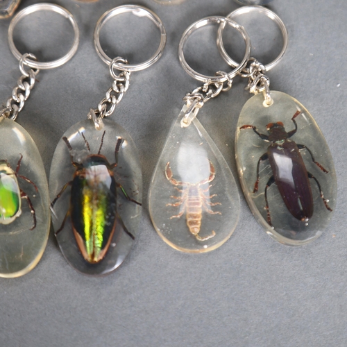 3316 - Taxidermy: Collection of Genuine Insect Set in Resin Keyrings. Each specimen carefully set and mount... 