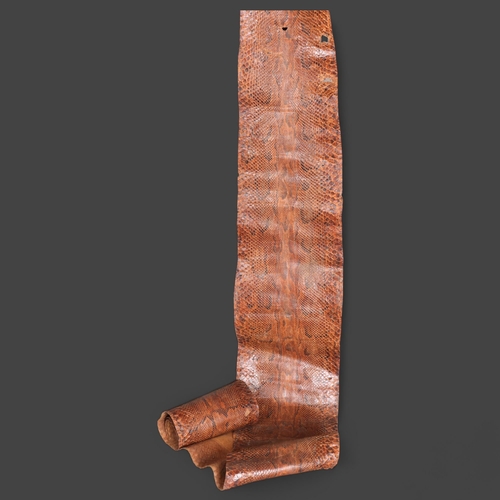 3320 - Taxidermy : A large Antique dried snake skin, length 240cm.