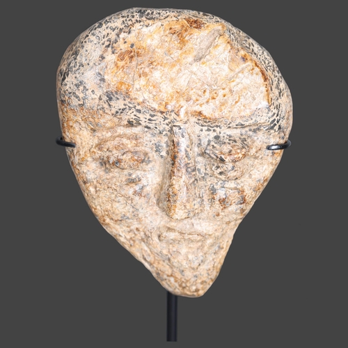 3323 - Fossil Curiosity: Mastodon Bone Carving of a Face / Mask on display stand 
The Mastodon is an extinc... 