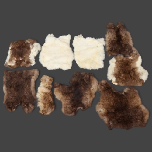 3336 - Taxidermy : A group of various rabbit pelts.