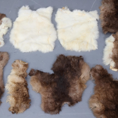 3336 - Taxidermy : A group of various rabbit pelts.