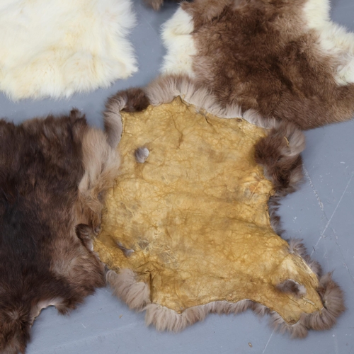 3336 - Taxidermy : A group of various rabbit pelts.