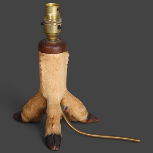 3357 - Taxidermy: Roe Deer Legs Lamp
An interesting and unusual lamp, the base made of three taxidermy roe ... 