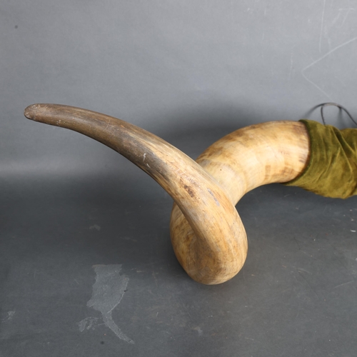 3361 - Antlers/Horns : A large pair of Ox horns, from the last working Ox in Northiam, East Sussex, overall... 