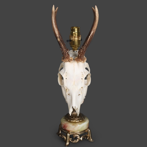 3362 - Taxidermy: Roe Deer Skull Lamp. The cranium with antlers mounted to a brass and green onyx marble ba... 