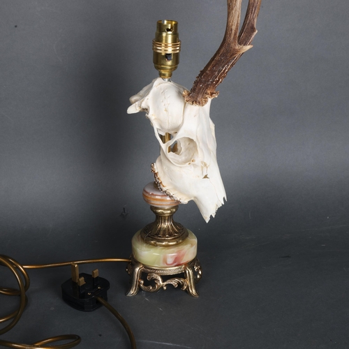 3362 - Taxidermy: Roe Deer Skull Lamp. The cranium with antlers mounted to a brass and green onyx marble ba... 