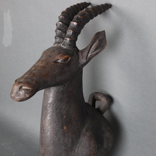 3366 - Natural History : A carved hardwood study of Antelope, unsigned, from wall 31cm , height 54cm.