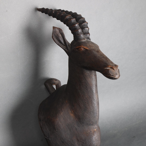 3366 - Natural History : A carved hardwood study of Antelope, unsigned, from wall 31cm , height 54cm.