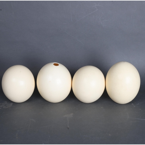 3381 - Natural History : A group of four Ostrich eggs, largest 16cm, (4).