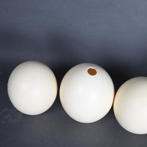 3381 - Natural History : A group of four Ostrich eggs, largest 16cm, (4).