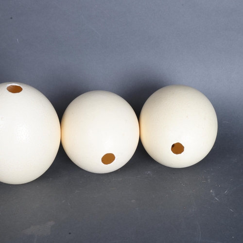 3381 - Natural History : A group of four Ostrich eggs, largest 16cm, (4).