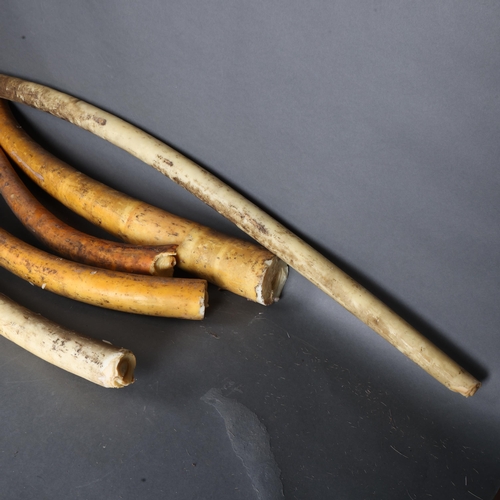 3382 - Curiosity/Macabre : A box of large antique French church candles, tapered and tusk shaped.