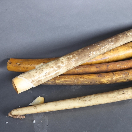 3382 - Curiosity/Macabre : A box of large antique French church candles, tapered and tusk shaped.