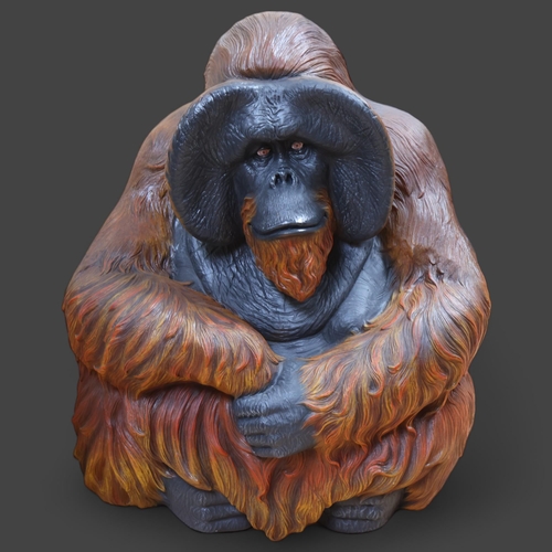 3383 - Taxidermy interest: Orangutan Life-size Model. A superbly detailed lifesize model of an orangutan. M... 