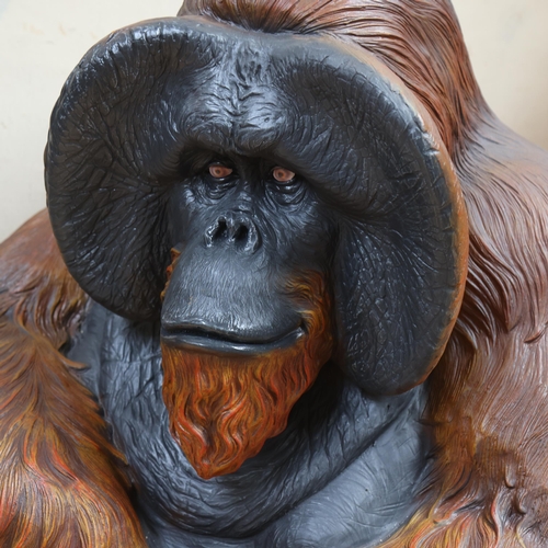 3383 - Taxidermy interest: Orangutan Life-size Model. A superbly detailed lifesize model of an orangutan. M... 