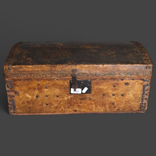 3391 - Natural History : A 19th Century dome top studded trunk, pony skin covered, with iron carry handles,... 