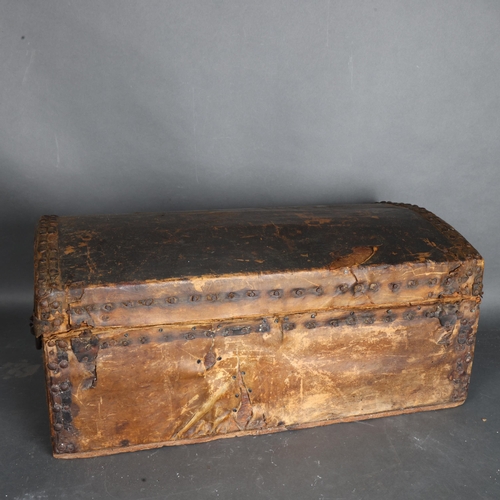 3391 - Natural History : A 19th Century dome top studded trunk, pony skin covered, with iron carry handles,... 